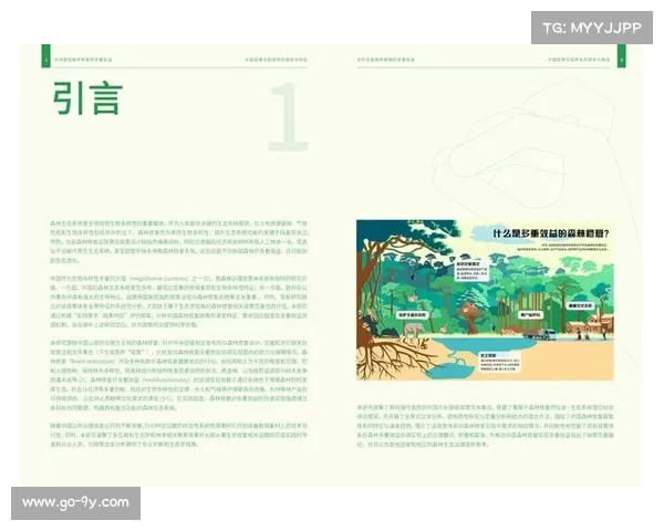 新级别体系下青少年选手面临增减重科学调控的挑战与应对策略 新级别体系下青少年选手面临增减重科学调控的挑战与应对策略